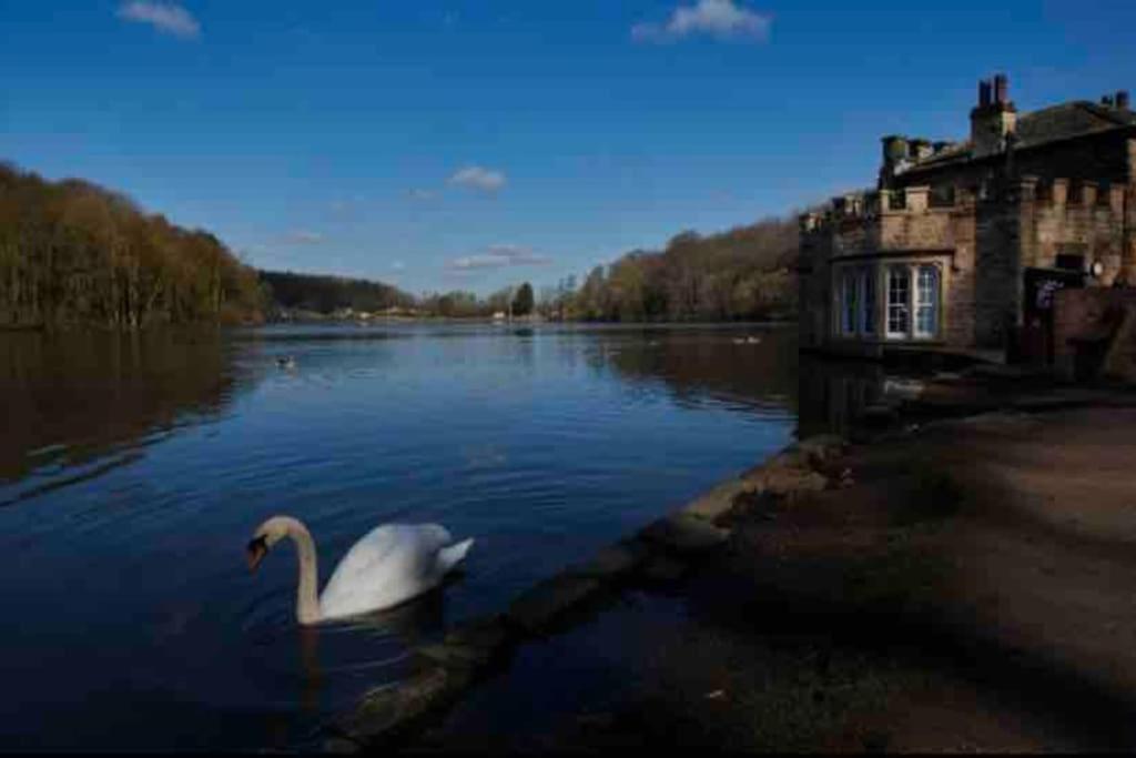 Hill Top Millstone Cottage Newmillerdam מראה חיצוני תמונה